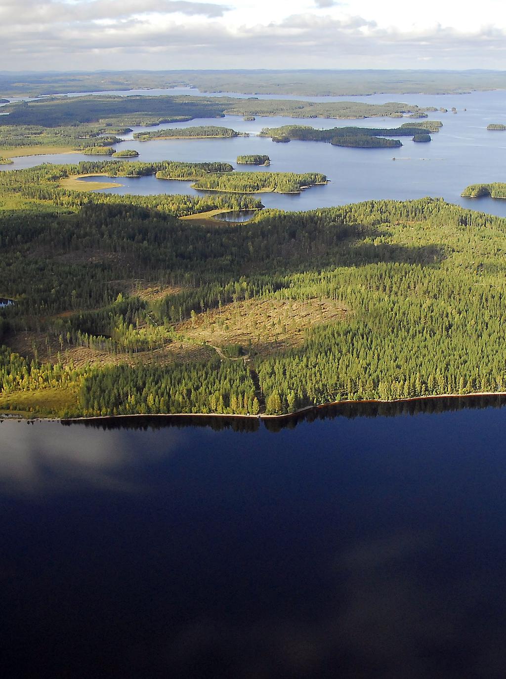 TORNATOR Vuosikertomus 2017 / Strategia Ammattitaito ja pitkäjänteinen metsänhoito takaavat omaisuuden arvon kasvun Kestävän metsätalouden perustana on toiminnan pitkäjänteinen suunnittelu.