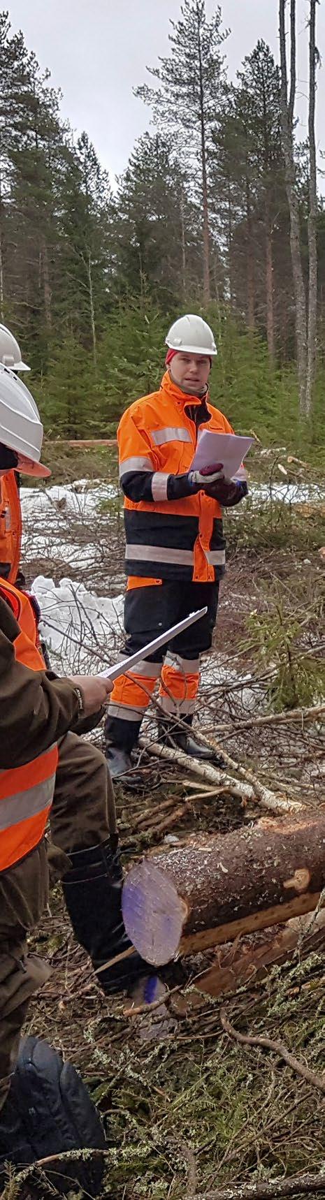 TORNATOR Vuosikertomus 2017 / Strategia YLIVOIMAINEN KILPAILUKYKY Osaaminen ja teknologia kilpailukyvyn perustana Tornatorin tavoitteena on olla markkinoiden paras puukauppa- ja yhteistyökumppani.