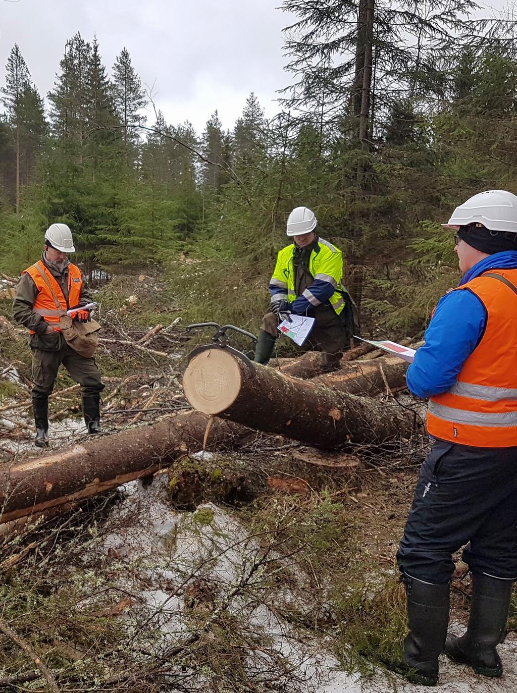 TORNATOR Vuosikertomus 2017 / Strategia Kuutio.fi Tornator on ollut aktiivisesti mukana kehittämässä ja otti ensimmäisten joukossa käyttöön Puukauppa Oy:n tarjoaman Kuutio.fi-puukauppaportaalin.