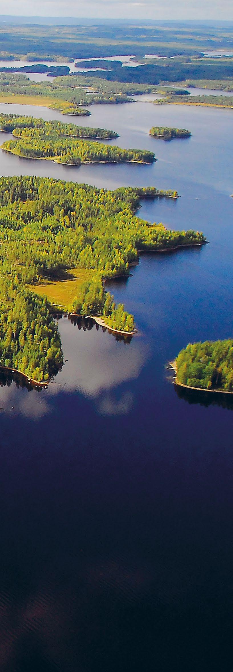 KATSAUS TORNATORIIN Tornator lyhyesti Tornator on Euroopan johtava kestävään metsätalouteen erikoistunut yhtiö, joka omistaa metsiä Suomen lisäksi Virossa ja Romaniassa.