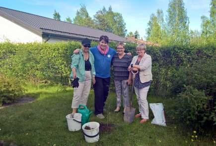 musiikkia suomifilmeistä, sekä puheita. Juhlan juontajana toimi lion Anne Bland. Tervetuliaispuheen piti Doristen presidentti Katariina Koivisto.