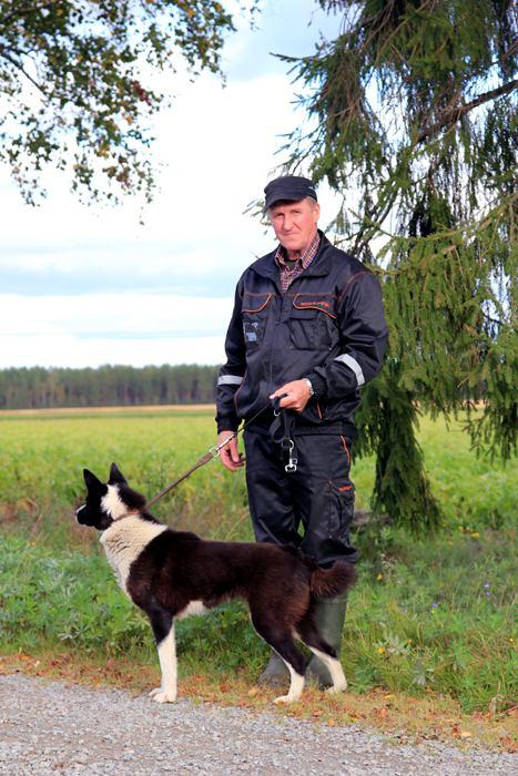 Risunevan kennel Allan Mikkola, Kannus Kasvatus toiminta alkoi vuonna 1983 suomenpystykorvalla. Pystykorvilla kasvatin kaksi pentuetta ja tällöin ei vielä ollut kennelnimeä.