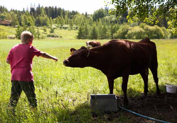 KÄYNTIKOHTEET KÄYNTIKOHTEET Elonkierto Monipuolinen esittelypuisto maataloudesta ja luonnonvaroista kaikenikäisille Elonkierto on Luonnonvarakeskuksen Jokioisilla sijaitseva esittelypuisto, joka