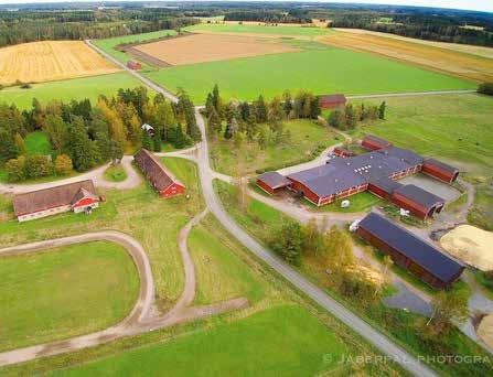 viihtyisäksi kokonaisuudeksi. Jokaisessa huoneessa on parisänky ja mahdollisuus lisäsänkyihin.