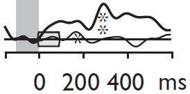 Vauvan kuulokyvyt: taajuuden ennakointi -5 mv +5 Kimmo Alho, Kimmo Sainio, Nina Sajaniemi, Kalevi Reinikainen and Risto Näätänen: Event-related brain potential of human newborns to pitch change of an