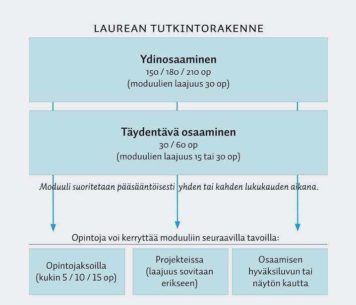 Kuva 1. Tutkintorakenne Ydinosaamisen ja täydentävän osaamisen moduulit Ydinosaamisen moduulit muodostavat tutkinnon osaamisen perustan ja ovat pakollisia.