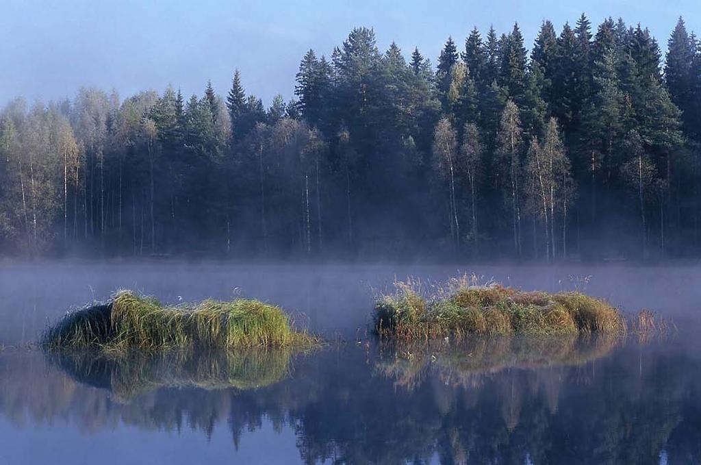 Tyrväinen, L., Silvennoinen, S. & Hallikainen V. 2010. Kansainvälisten matkailijoiden maisemaja ympäristöarvostukset Pohjois-Suomessa. Metlan työraportteja 147. 52 s. Kiitokset! http://www.metla.