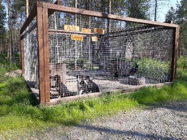 tymisen estyminen heikentää aina eläimen hyvinvointia, vaikka käytöshäiriöt eivät olisi silminnähden havaittavaa poikkeavaa käyttäytymistä kuten esimerkiksi stereotyyppisiä liikkeitä,
