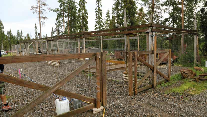 4 ELÄINTEN HYVINVOINTI MATKAILUPALVELUISSA Tarha-alue on hyvä aidata kauttaaltaan karkaamisten, irtokoirien ja muiden eläinten tai asiattomien ihmisten varalta. 4.