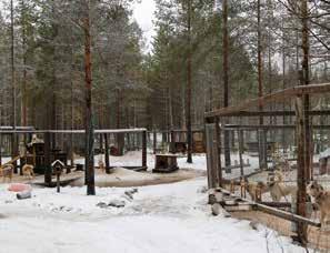 Rakenteiden soveltuvuus ja hyvinvointivaikutukset tulee arvioida yksilöllisesti, sillä esimerkiksi laudoitettu pohja voi kipeyttää joidenkin
