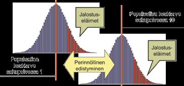 Vinkkejä jalostuseläinten valintaan Aseta selkeät jalostustavoitteet Älä anna tunteiden hallita jalostuspäätöksiäsi Tunne jalostettavat ominaisuudet Valitse koirat pitkään huipulla menestyneistä