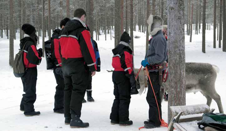 Asiakkaat safarifirman vaatteissa. normaaliolosuhteissa tarttuvien eläintautien riskiä. Riski muodostuu, jos matkailija antaa omia herkkupalojaan porolle.