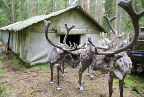 Sillä on paliskunnasta riippuen tuhansien neliökilometrien alueet käytettävissään. Kesäaitauksessa matkailuporon hoidon tarve ja intensiivisyys riippuvat aidan koosta ja laitumen laadusta.