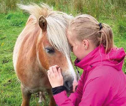 huolloista. Hevosia tarkkaillaan yksilöllisesti ja niiden käytöksen muutokset kirjataan muistiin. Muutokseen on aina jokin syy.
