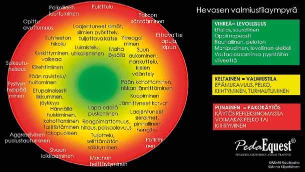 Hevosen valmiustilaympyrä (Rautioaho 2016). 6.