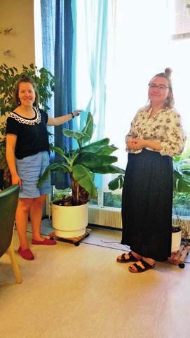 Aika kylläkin juoksee niissä samaa tahtia kuin vanhoissa. Ainakin TVJ:n oman väen mielestä lopputulos miellyttää silmää enemmän kuin vanha järjestys.
