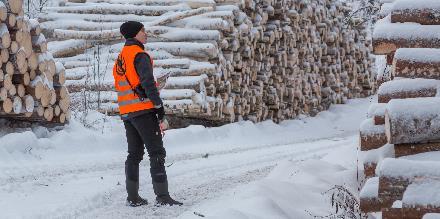 Omaisuuden arvostus luovutushetken käypä arvo? Verohallinto antaa arvostamisohjeet: 1. Ensisijainen on tila-arvio (metsäasiantuntija), todellinen käypä arvo 2.