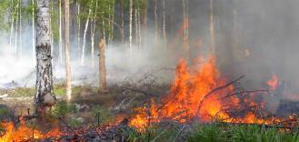 Riskisaanto perintökaaren mukaan Perintö jakamattomaan kuolinpesään; osakkaina perillisasemassa olevat,