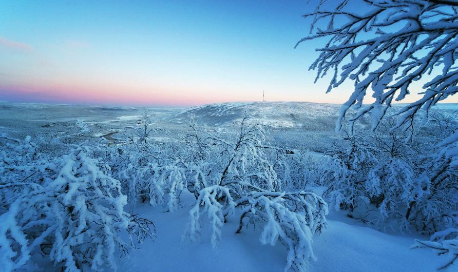 POLTETTAVA JÄTE