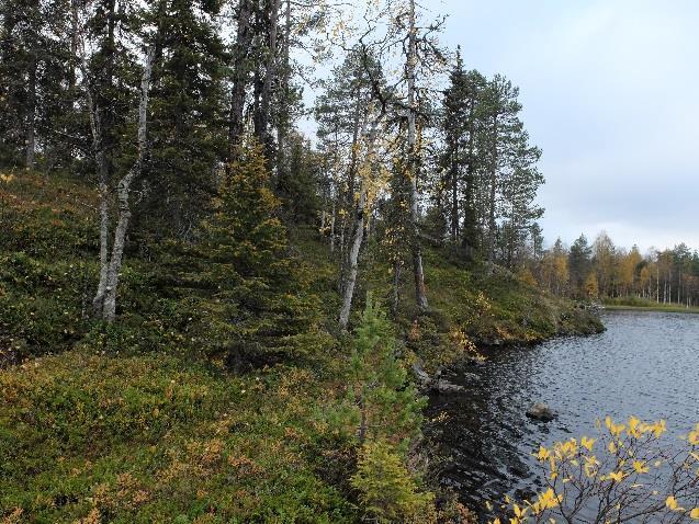 Pienipiirteinen topografian vaihtelu on suurta mainitulla kalloselänteellä ja siitä länteen sijaitsevalla alueella.