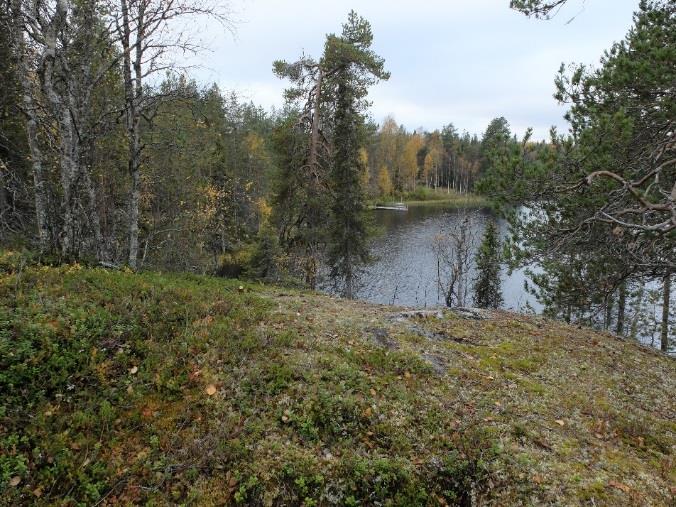 erottuu maisemakuvassa muuten suoraviivaisessa rantavyöhykkeestä.