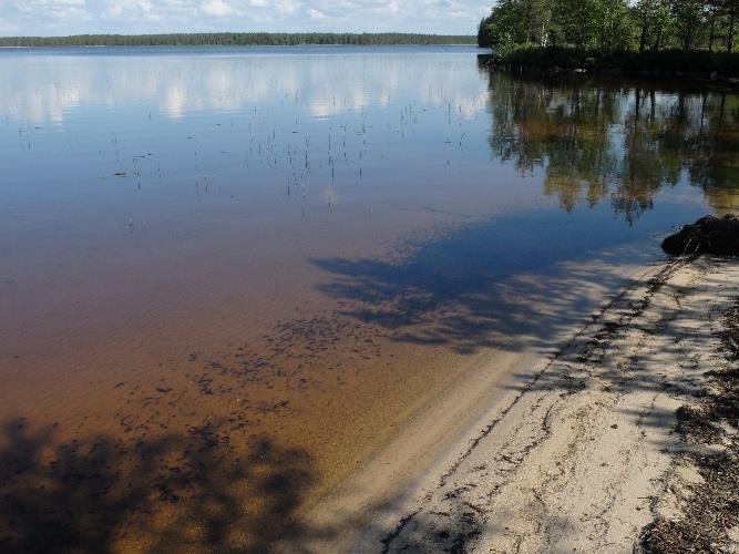 Kuva 2. Suihkonniemen glasifluviaalista/fluviaalista hiekkaa. 3.2 Vesialueet ja vesistöt Osmankajärven syvin kohta, 11 m, sijaitsee järven itäisessä lahdelmassa Pölhönniemen edustalla.