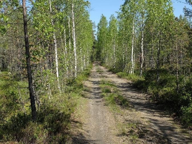 Happamuudeltaan Osmankajärvi on neutraali (ph 6,5). Järveä voidaan luonnehtia humuspitoiseksi. Vesistöön on istutettu kuhaa, järvitaimenta, planktonsiikaa sekä pohjasiikaa.