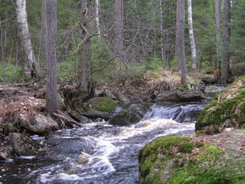 Hankealueella sijaitsee runsaasti pienvesiä. Valtaosa näistä on alueella tehtyjä metsätalousojia.