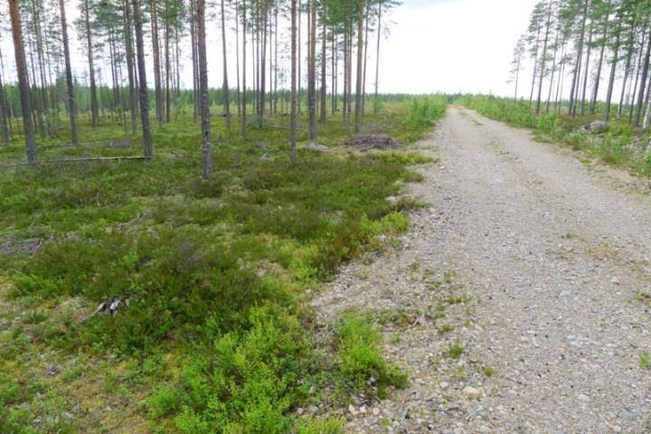 Tuulivoimaloiden alue 39 Alue sijoittuu pääosin kuivalle mäntykankaalle (ECT). Alueen itäosassa on kaksi pientä soranottopaikkaa.