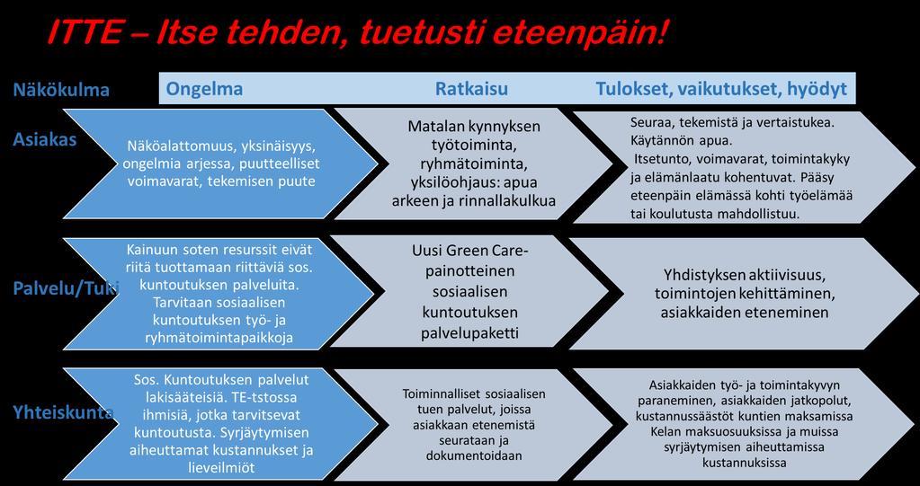 Johanna Saarivaara ITTE - Itse tehden, tuetusti eteenpäin!