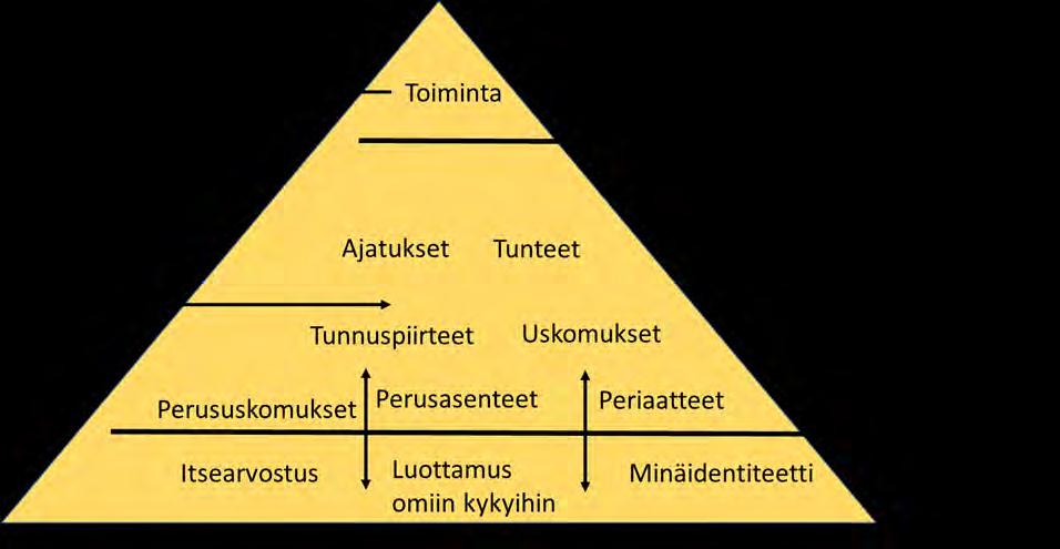 määräävät tapahtumaan liitettävän energian. Kognitioiden ja tunteiden rakenne antaa merkityksen ja suunnan ulkoiselle käyttäytymiselle.