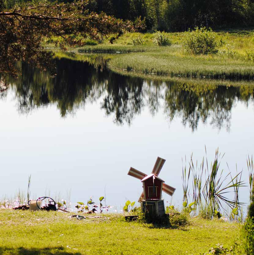 Jeesuksen antama voima ei ole tarkoitettu päällekäyväksi uskonuhoksi. Se on Jumalan armon ja rakkauden voimaa.