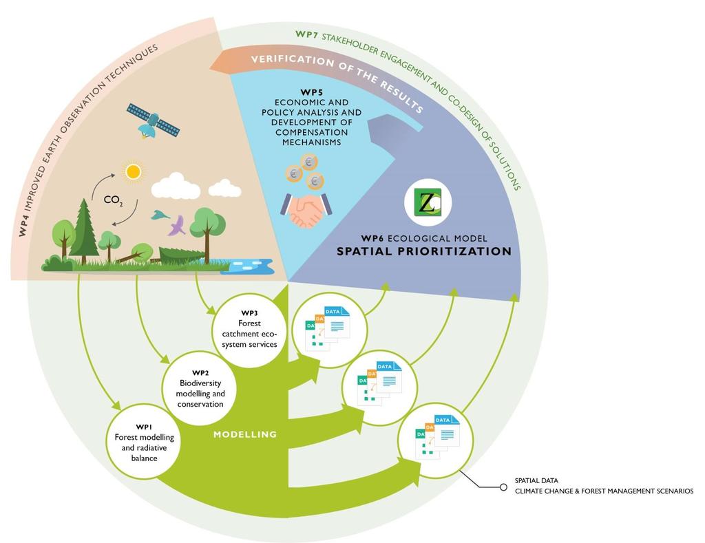 Merkittävä osa hankkeen toteutusta on edistää metsänomistajille suunnattuja kannustimia tuottaa metsäluonnon monimuotoisuutta ja ekosysteemipalveluja, kuten hiilensidontaa.