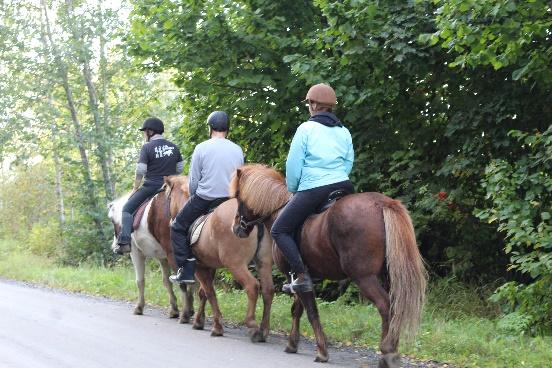 Luontosuhde/toimintaympäristöt Eläinavusteiset menetelmät Eläinavusteinen toiminta on eläinten kanssa toteutettavaa toimintaa, jolla on ennalta ehkäisevä tai toimintakykyä parantava vaikutus.