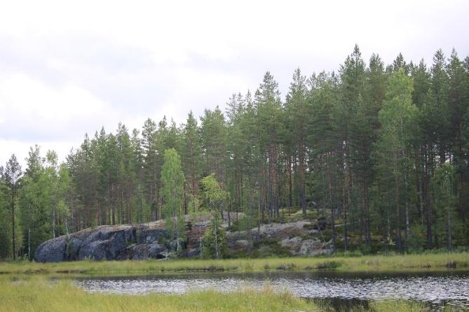 LUONTOSUHDE/toimintaympäristöt Toimintaympäristön komponentit Fyysinen