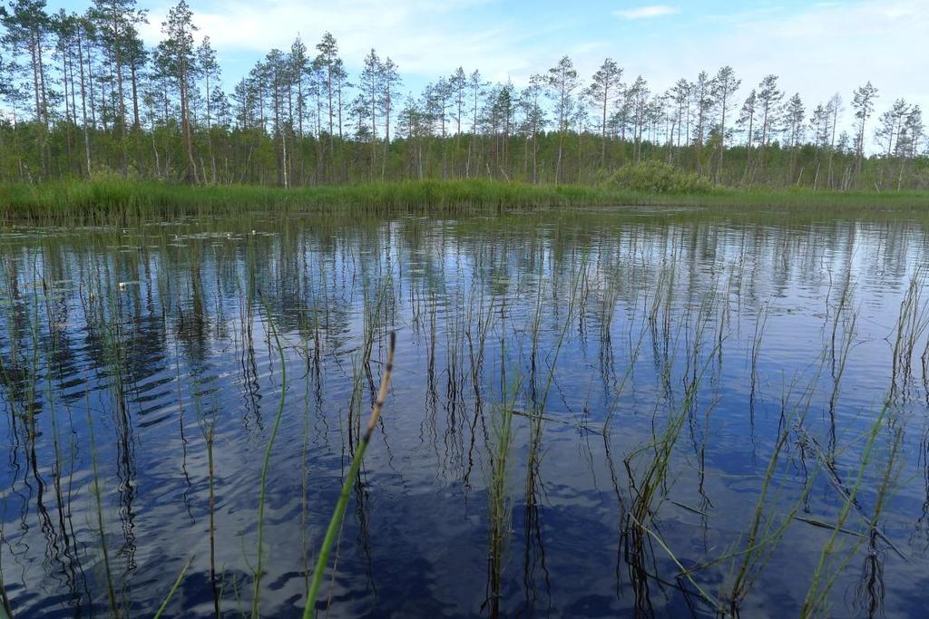 Vastaanottaja Vapo Oy, Pelson vankila Asiakirjatyyppi Raportti Päivämäärä 17.5.