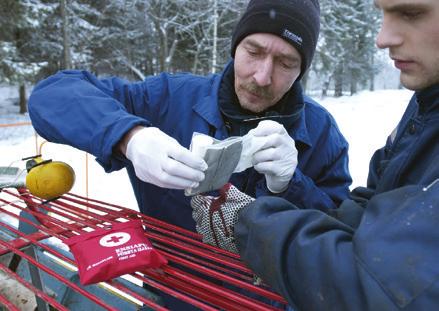 8 Tyrehdytä verenvuoto, sido tynkä. Anna tarvittaessa sokin oireenmukainen hoito.