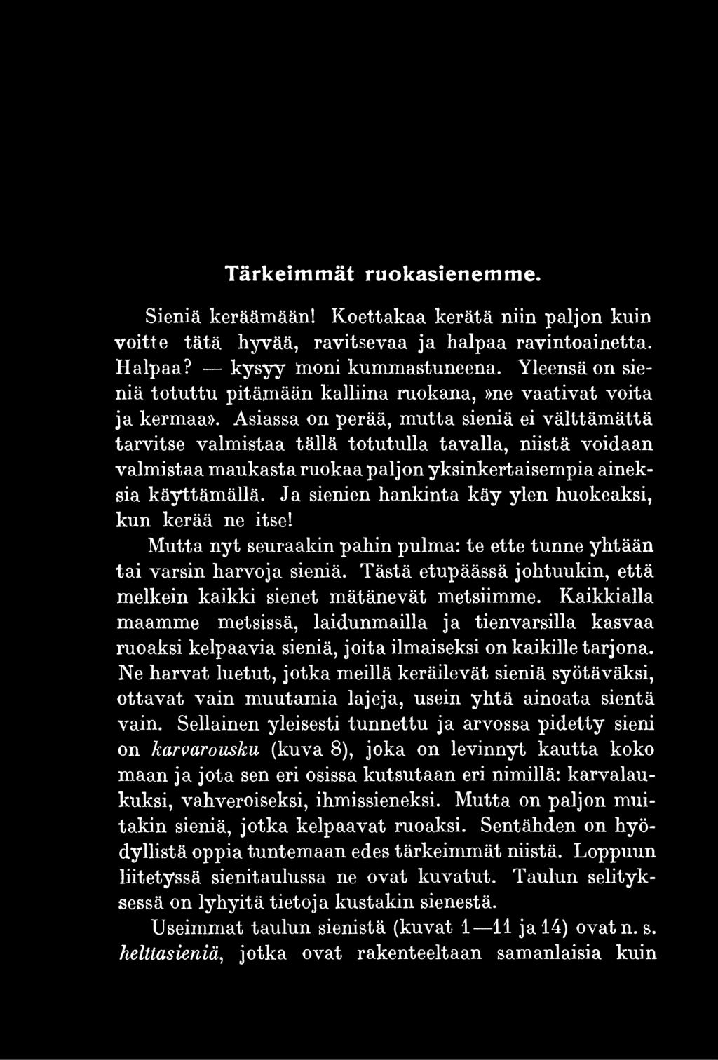 Tästä etupäässä johtuukin, että melkein kaikki sienet mätänevät metsiimme.