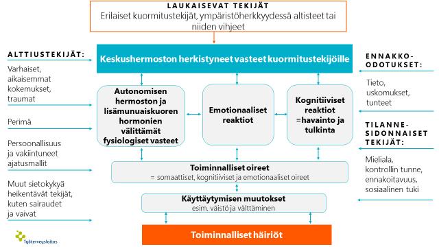Toiminnallisten häiriöiden mekanismeja ei tarkasti tunneta. Niille altistavat todennäköisesti mm.