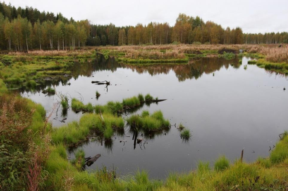 Suunniteltuja ja toteutettuja toimenpiteitä Etelä-Savossa Maatalouden vesiensuojelu Ympäristökorvauksen tilatason toimenpiteitä toteutetaan Etelä-Savossa n.