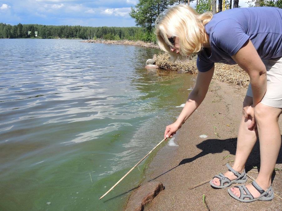 Miten voin itse vaikuttaa vesienhoidon suunnitteluun tai toteutukseen? Osallistumalla vesienhoidon ja kalatalouden sidosryhmätyöskentelyyn, esim.