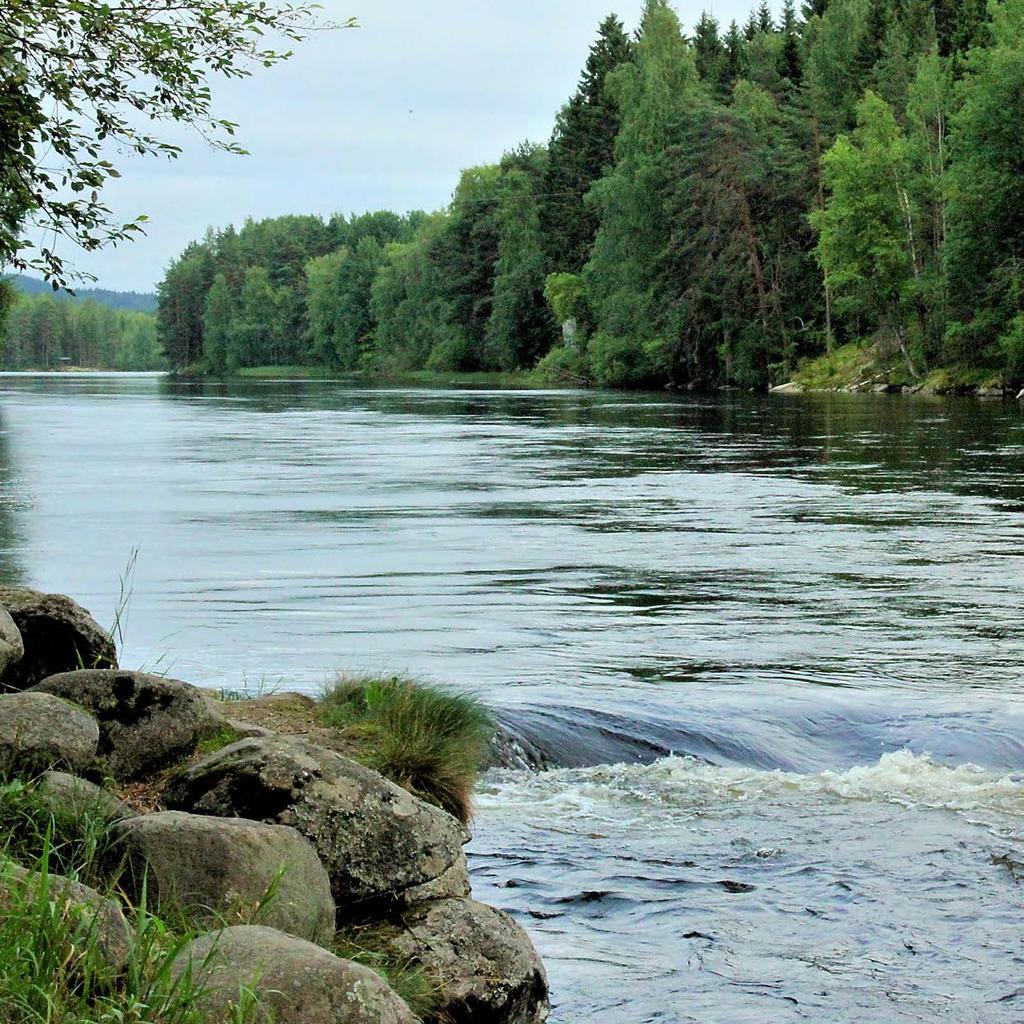 RAPORTTEJA 17 2018 Rautalammin reitin yläosan taimenkannan hoito- ja