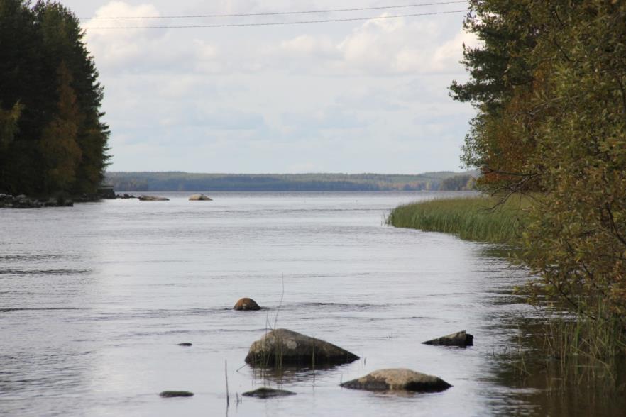 8.2 Aluerauhoitukset järvillä Kriittisempiä vesialueita vaeltavan taimenen selviämiselle ovat jokisuut, järviluusuat eli reittikoskien niskat sekä salmet järvillä (kuva 3). Kuva 3.