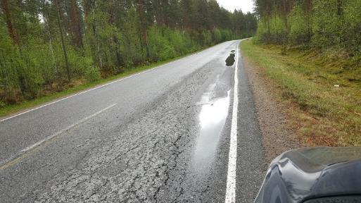 Vastaavasti joidenkin reunapainumien ja vajaatäyttöjen kohdalta järjestelmä raportoi reunapalteesta virheellisesti.