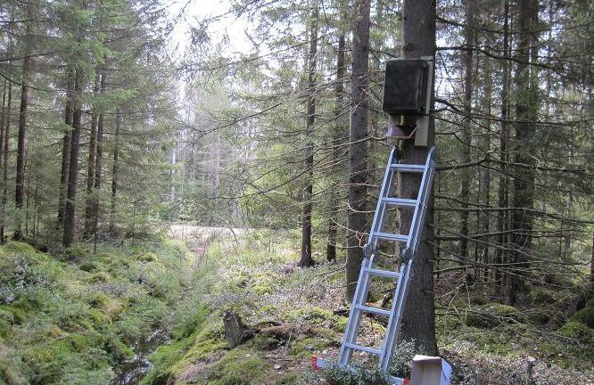 Kuva 2: Pysyvä AnaBat-detektori Jokelan alueella oli sijoitettu ojanvarteen.