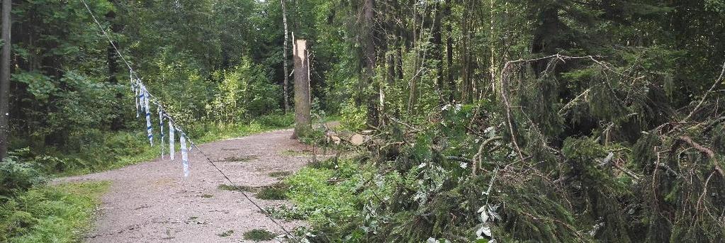 Sään ja ilmastonmuutoksen vaikutuksia alue- ja