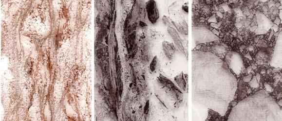 Hiekuvasarja Elämäjärven hiertovyöhykettä pohjoisessa rajaavasta pystystä hiertovyöhykkeestä. Hierron aikainen lämpötila laskee vasemmalta oikealle. Kunkin hieen korkeus n. 4 cm.