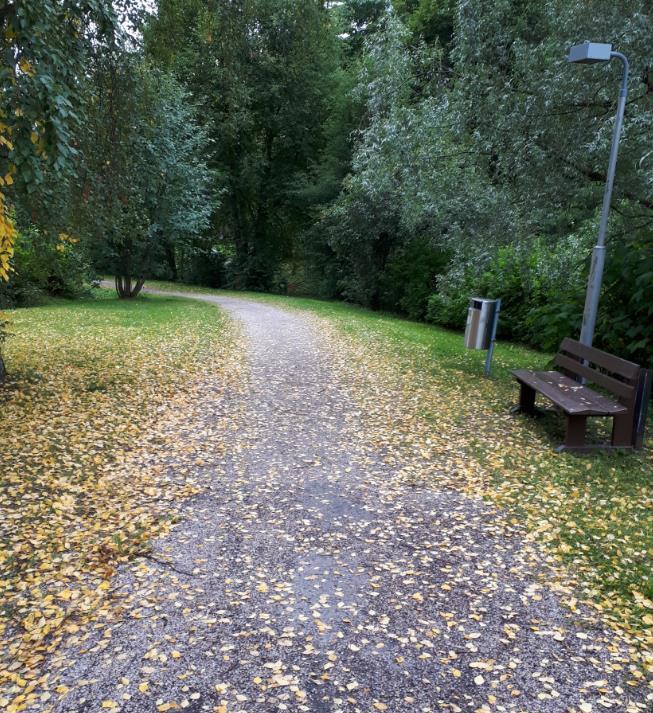 Alueen ylläpitoon ja kunnostukseen olisi syytä panostaa hieman nykyistä enemmän puiston viihtyisyyden ylläpitämiseksi.
