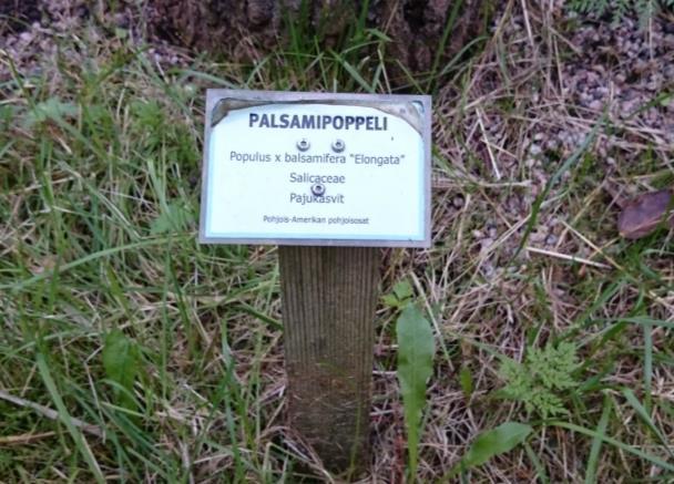 Puistossa on muutamia penkkejä sekä pari pöytäryhmää.