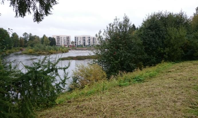 Kehitettävä puistoyhteys Nykyinen roskakatos Piha-alueen jäsentely Veteraanipuisto Terveyskeskuksen takana joen varressa sijaitsevassa Veteraanipuistossa on tällä